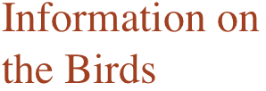 Information on the Birds